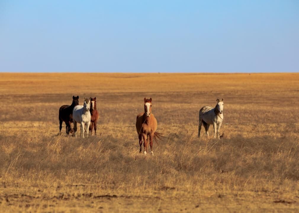 Oklahoma: Osage County